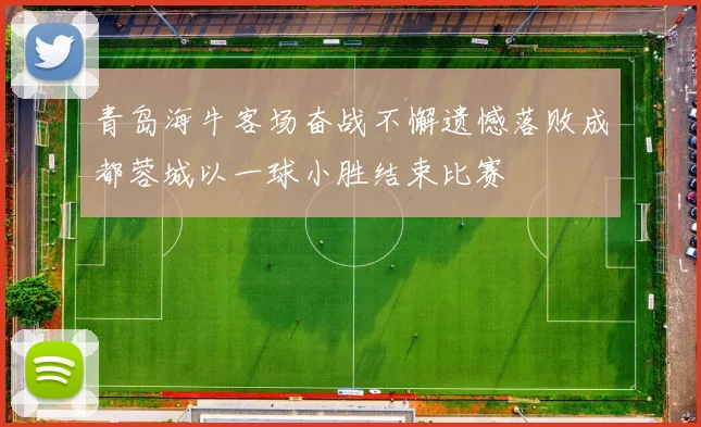 青岛海牛客场奋战不懈遗憾落败成都蓉城以一球小胜结束比赛