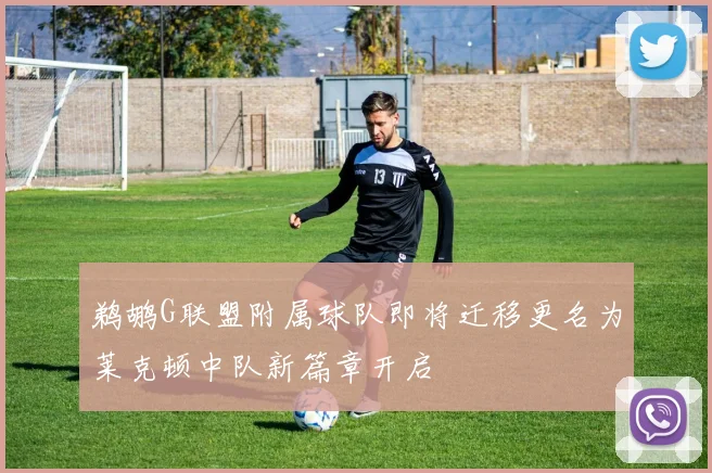 鹈鹕G联盟附属球队即将迁移更名为莱克顿中队新篇章开启