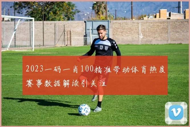 2023一码一肖100精准带动体育热度赛事数据解读引关注