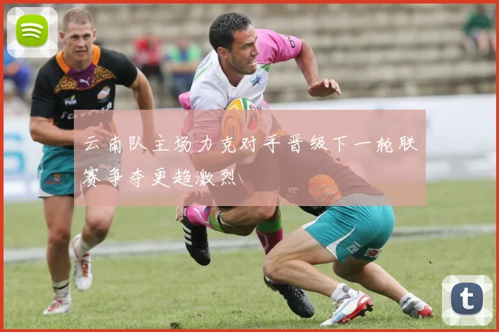 云南队主场力克对手晋级下一轮联赛争夺更趋激烈
